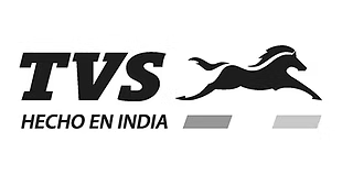 TVS | Fulano Sutano